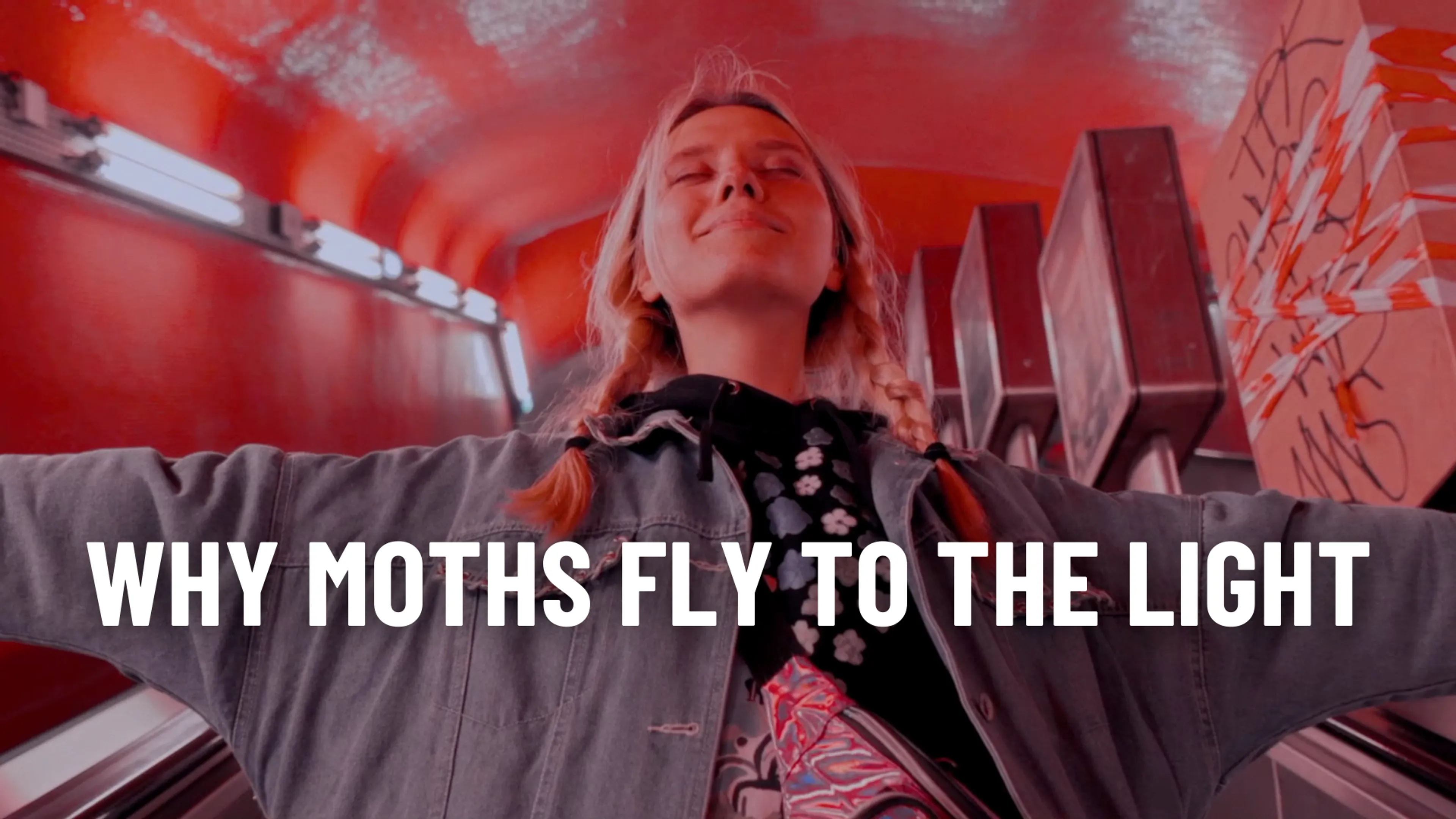 Why Moths Fly to the Light? poster
